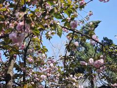 -凯德广场(武胜路店)