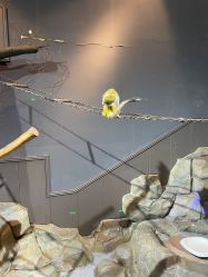 -未来动物城动物主题公园(大悦城店)