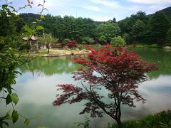 -四明山国家森林公园