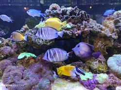 -Zoolung Zoolung动物主题公园(海信广场店)