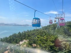 -摩天岭风景区
