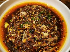 -铁公鸡·四川料理(天环广场店)