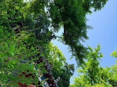 -牛郎织女景区