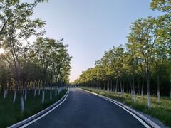 -天津东丽湖风景区