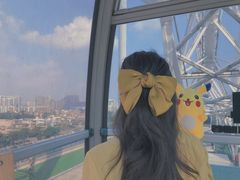 -幻彩摩天轮