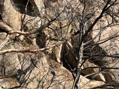 -云晓光头烧烤吧(川沙绿地店)