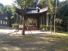 -镇江市南山风景名胜区竹林景区