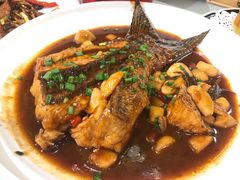 红烧有机鱼尾-江南韵·无锡太湖文化体验餐厅(凤凰天街店)