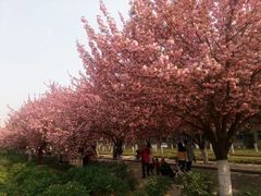 -西北农林科技大学(北校区)