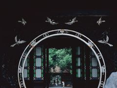 -顺峰山公园