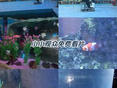 -洛阳龙门海洋馆