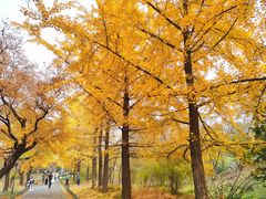 -国家植物园南园