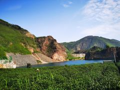 -树山生态村