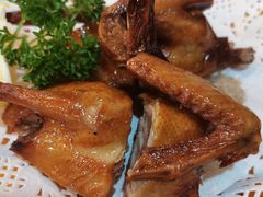 -一煲鸽