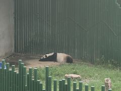 -沈阳森林动物园