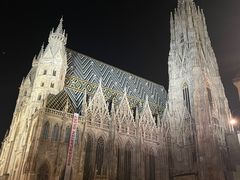 -斯蒂芬主教座堂(Stephansdom)
