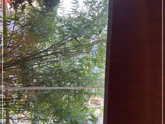 -渔乡米香·剁椒鱼头(四方坪店)