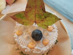 -野草莓自由市场
