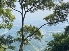 -黄埔油麻山森林公园