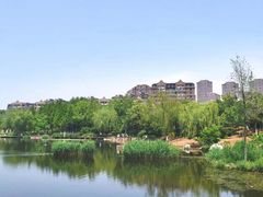 -前关湿地公园
