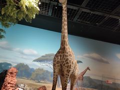 -陕西自然博物馆