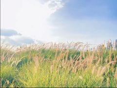 -光明小镇欢乐田园
