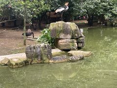 -黔灵山公园
