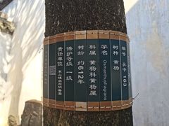 -东山风景区(洞庭东山)
