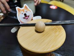 -逗柴咖啡屋·狗咖猫咖宠物桌游