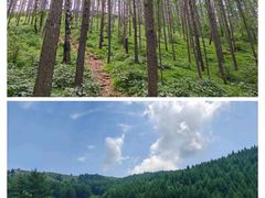 -驼梁风景区