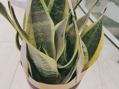 -鹿岛会员店 (龙湖三千集天街店)