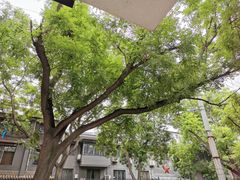 -浆木咖啡馆(湘子庙街店)