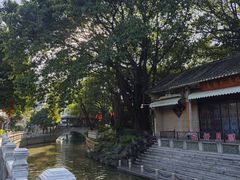 -荔湾湖公园