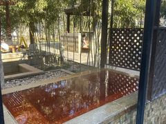 -春晖园度假酒店温泉