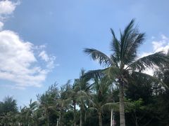-爱情邮局