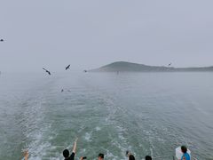 -海驴岛(荣成市)