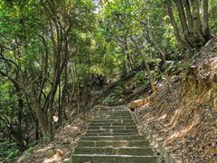 -火炉山森林公园