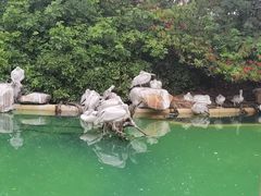 -珠海长隆海洋王国