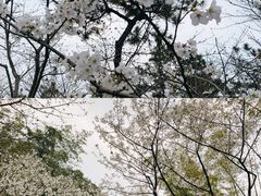 -外滩