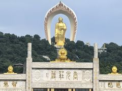 -庐山风景名胜区-东林大佛