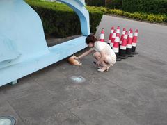 -南汇嘴观海公园