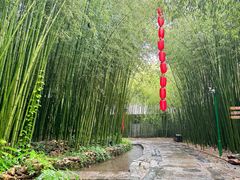 -竹泉村旅游度假区