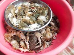-红树林天天赶海