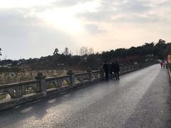 -三圣花乡旅游区