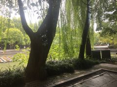 -星巴克(西湖天地店)