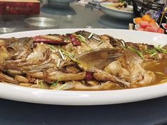 -张氏鱼庄