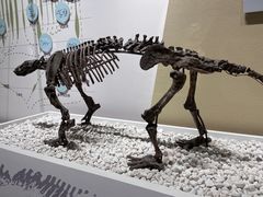 -国家自然博物馆