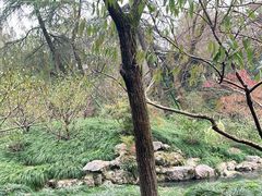 -柳莺湖上·湖景餐厅·江南菜(西湖店)