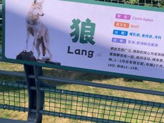 -合肥野生动物园
