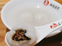-海丝金凤(金鱼店)